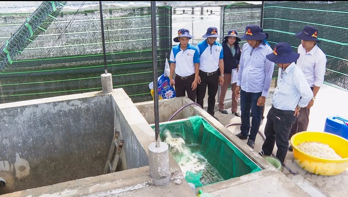 Áp dụng khoa học công nghệ, tiến bộ kỹ thuật, chuyển đổi sản xuất thủy sản hữu cơ... là những bước đi hiện thực hóa công tác bảo vệ môi trường trong nuôi trồng thủy sản ở tỉnh Sóc Trăng. Ảnh: Kim Anh.