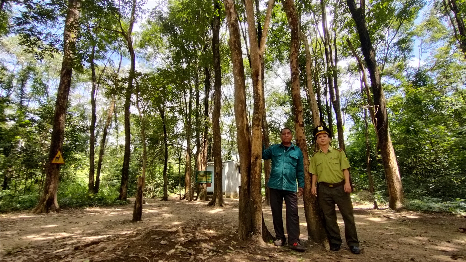 Ông Rơ Mah Lel (bên trái) cùng dân làng, lực lượng chức năng quyết tâm bảo vệ rừng giáng hương